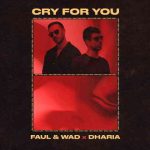 دانلود آهنگ Faul & Wad & DHARIA به نام Cry For You