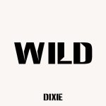 دانلود آهنگ Dixie D’Amelio به نام Wild