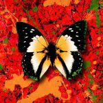 دانلود آهنگ Ed Sheeran ft. Armaan Malik به نام 2step