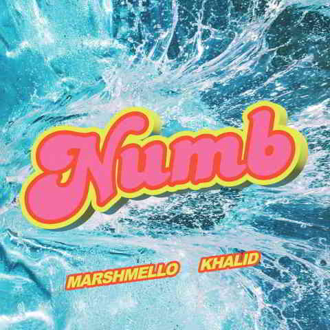 دانلود آهنگ Marshmello & Khalid به نام Numb