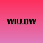 دانلود آهنگ WILLOW به نام <maybe> it’s my fault