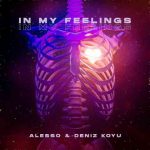 دانلود آهنگ Alesso & Deniz Koyu به نام In My Feelings