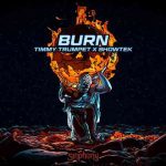 دانلود آهنگ Timmy Trumpet & Showtek به نام Burn