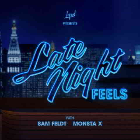 دانلود آهنگ Sam Feldt & Monsta X به نام Late Night Feels