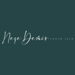 دانلود آهنگ Neşe Demir به نام Senin İçin