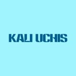 دانلود آهنگ Kali Uchis به نام NO HAY LEY