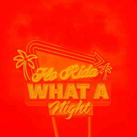 دانلود آهنگ Flo Rida & Skytech به نام What A Night (Up All Night In Vegas)