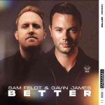 دانلود آهنگ Sam Feldt & Gavin James به نام Better