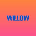 دانلود آهنگ Willow به نام curious/furious