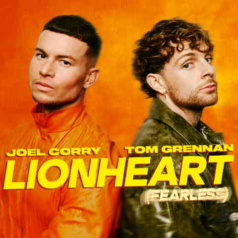 دانلود آهنگ Joel Corry & Tom Grennan به نام Lionheart (Fearless)