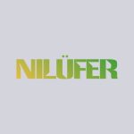 دانلود آهنگ Nilüfer به نام Olmayınca Olmuyor