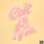 دانلود آهنگ Yung Gravy, bbno$ & Rich Brian به نام C’est La Vie