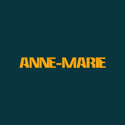 دانلود آهنگ Anne-Marie به نام PSYCHO (Acoustic)