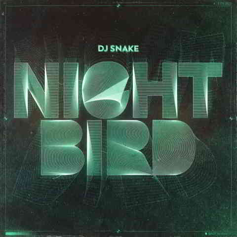 دانلود آهنگ DJ Snake به نام Nightbird