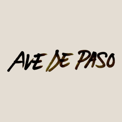 دانلود آهنگ Pablo Alborán به نام Ave de paso (con Ana Mena)
