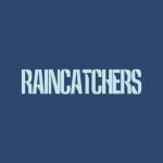 دانلود آهنگ Birdy به نام Raincatchers