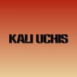 دانلود آهنگ Kali Uchis ft. Omar Apollo به نام Worth the Wait