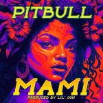 دانلود آهنگ Pitbull به نام Mami