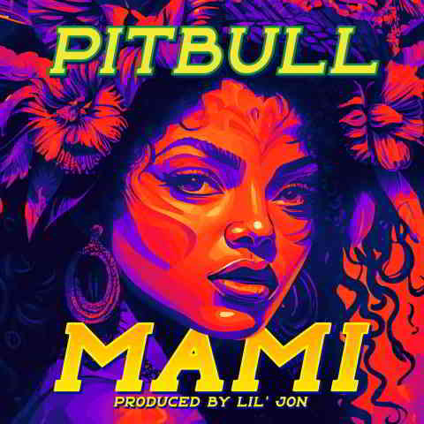 دانلود آهنگ Pitbull به نام Mami