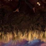 دانلود آهنگ Hozier به نام Through Me (The Flood)
