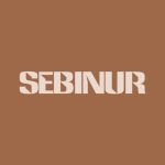 دانلود آهنگ Sebinur به نام Sana Dair