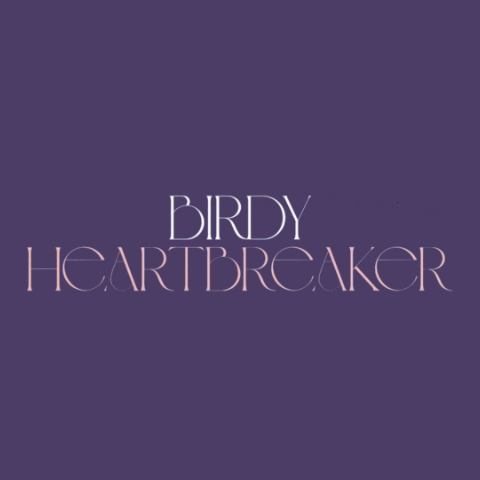 دانلود آهنگ Birdy به نام Heartbreaker