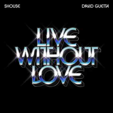 دانلود آهنگ Shouse & David Guetta به نام Live Without Love