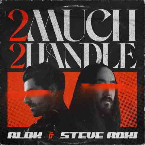 دانلود آهنگ Alok & Steve Aoki به نام 2 Much 2 Handle