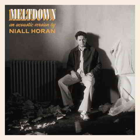 دانلود آهنگ Niall Horan به نام Meltdown (Acoustic)