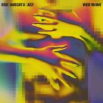 دانلود آهنگ Riton, David Guetta & Jozzy به نام Where You Want
