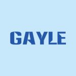 دانلود آهنگ GAYLE به نام sleeping with my friends