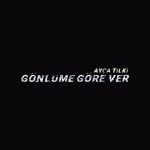 دانلود آهنگ Ayça Tilki به نام Gönlüme Göre Ver