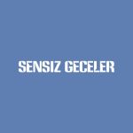 دانلود آهنگ Sevgi Fırat ft. Tuğrul Bektaş به نام Sensiz Geceler