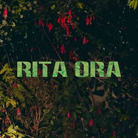 دانلود آهنگ Rita Ora به نام Don’t Think Twice (Edit)