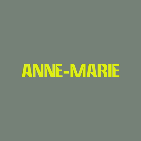 دانلود آهنگ Anne-Marie به نام NEVER LOVED ANYONE BEFORE