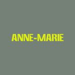 دانلود آهنگ Anne-Marie به نام TRAINWRECK