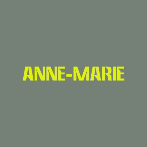 دانلود آهنگ Anne-Marie به نام TRAINWRECK