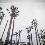 دانلود آهنگ Jay Rock & Anderson .Paak به نام Too Fast (Pull Over)