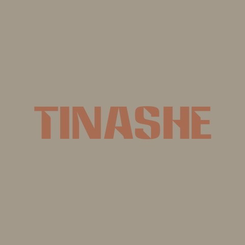 دانلود آهنگ Tinashe به نام Talk To Me Nice