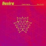 دانلود آهنگ Calvin Harris & Sam Smith به نام Desire