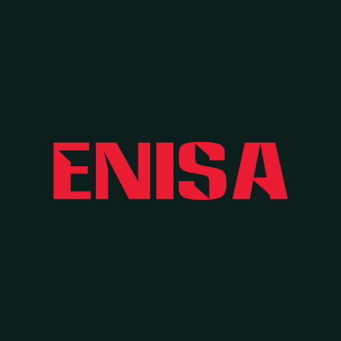 دانلود آهنگ Enisa به نام What Would You Do