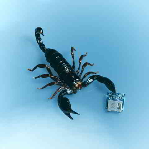 دانلود آهنگ Miguel Ft. Lil Yachty به نام Number 9