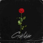 دانلود آهنگ Ayaz Erdoğan به نام Gülüm