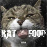 دانلود آهنگ Lil Wayne به نام Kat Food