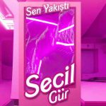 دانلود آهنگ Seçil Gür به نام Sen Yakıştı