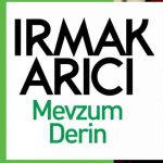 دانلود آهنگ Irmak Arıcı به نام Mevzum Derin