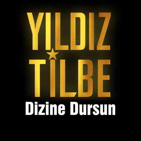 دانلود آهنگ Yıldız Tilbe به نام Dizine Dursun