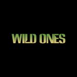 دانلود آهنگ Jessie Murph & Jelly Roll به نام Wild Ones