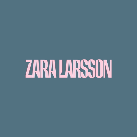 دانلود آهنگ Zara Larsson به نام One Mississippi