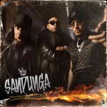دانلود آهنگ Don Omar, Wisin & Yandel به نام SANDUNGA